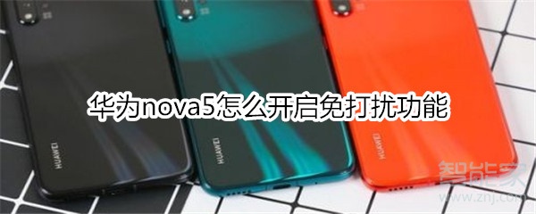 华为nova5怎么开启免打扰功能