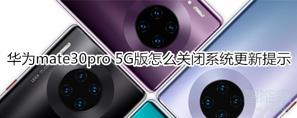 华为mate30pro 5G版怎么关闭系统更新提示