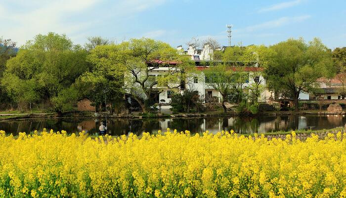 芙蓉镇在哪里 芙蓉镇在哪个省