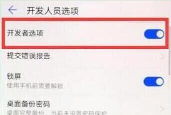 华为畅享9e怎么打开开发者选项