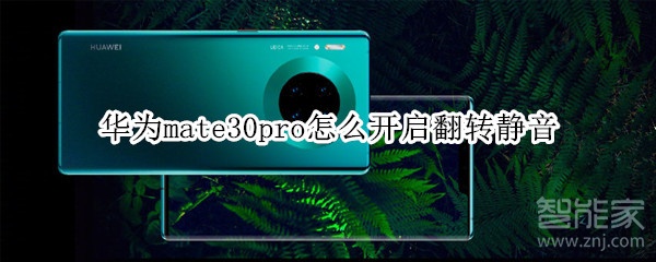 华为mate30pro怎么开启翻转静音