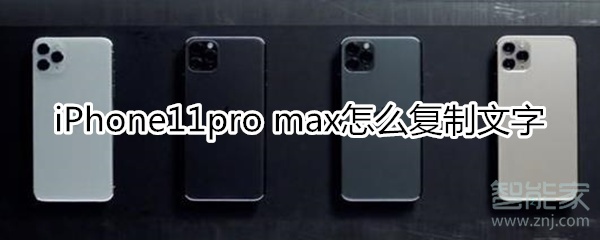 iPhone11pro max怎么复制文字