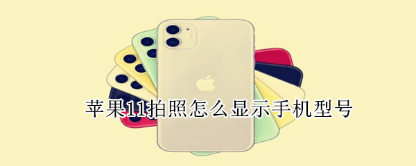 苹果11拍照怎么显示手机型号