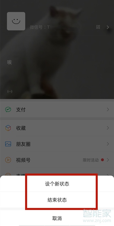 微信怎么看自己的状态