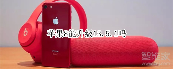 苹果8能升级13.5.1吗