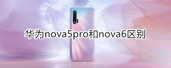 nova5pro和nova6区别