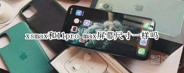 xsmax和11pro max屏幕尺寸一样吗