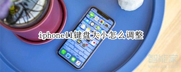 iphone11键盘大小怎么调整