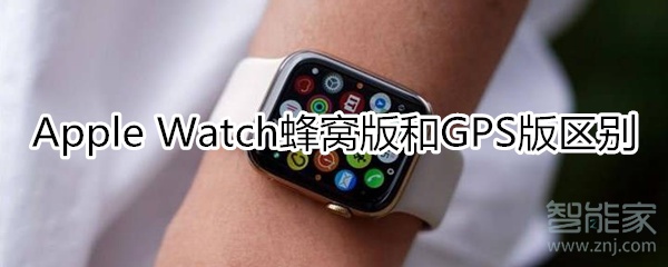 apple watchgps和蜂窝的区别是什么