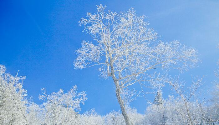 对雪高骈诗拼音版 古诗对雪带拼音