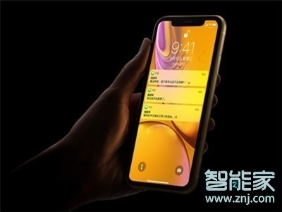 iphone11怎么设置自动回复内容