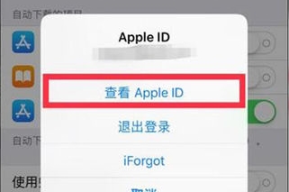 iphone购买的付费怎么关闭