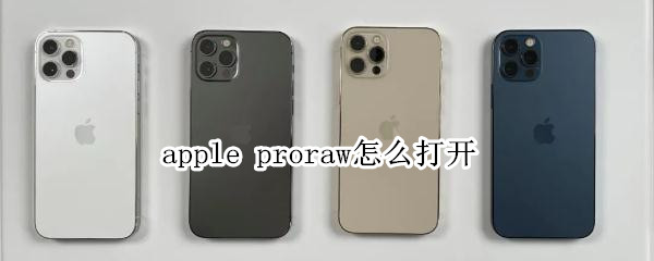 apple proraw怎么打开