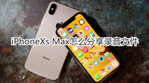 iPhoneXs Max怎么分享录音文件