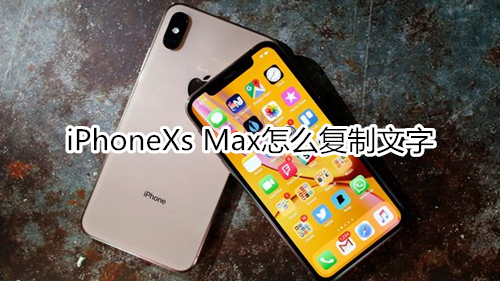 iPhoneXs Max怎么复制文字