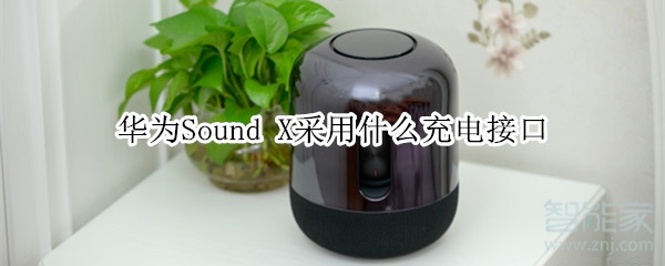 华为Sound X采用什么充电接口