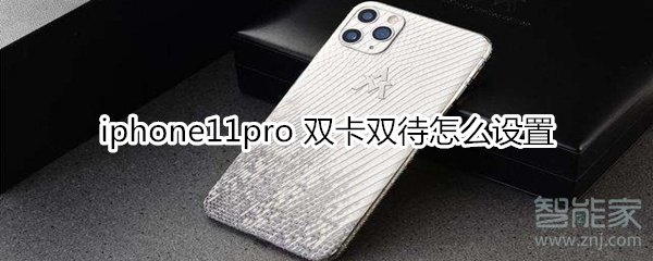 iphone11pro 双卡双待怎么设置