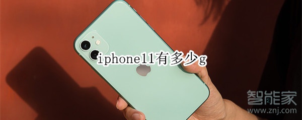 iphone11有多少g