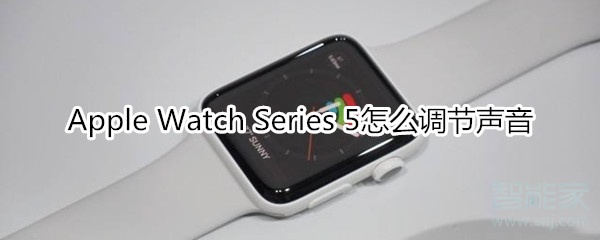 Apple Watch Series 5怎么调节声音