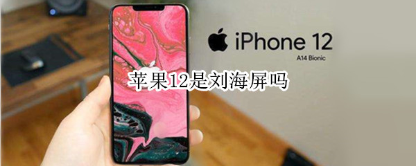 苹果12是刘海屏吗