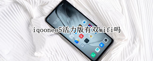 iqooneo5活力版有双wifi吗