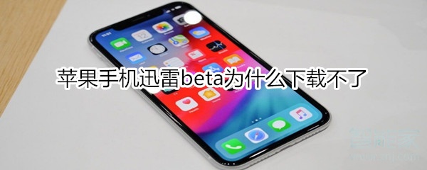 苹果手机迅雷beta为什么下载不了