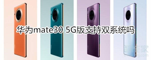 华为mate30 5G版支持双系统吗