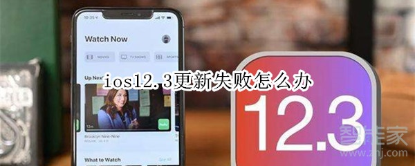 ios12.3更新失败