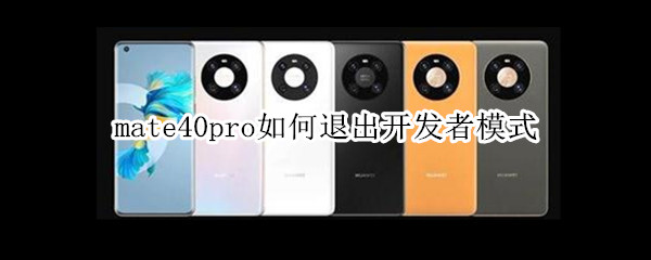 mate40pro如何退出开发者模式