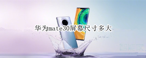 华为mate30屏幕尺寸多大