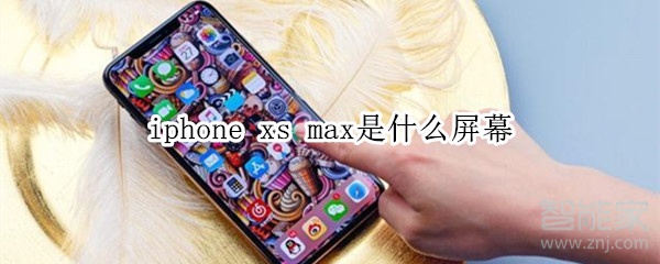 iphone xs max是什么屏幕