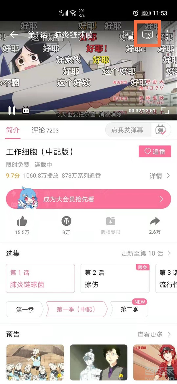 bilibili投屏弹幕怎么开