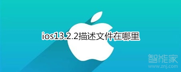 ios13.2.2描述文件在哪里