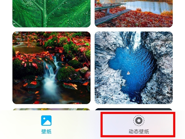 荣耀x20se怎么设置动态壁纸