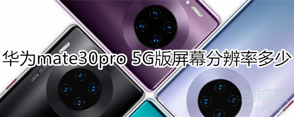 华为mate30pro 5G版屏幕分辨率多少