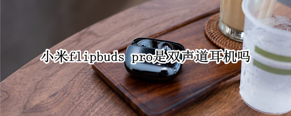 小米flipbuds pro是双声道耳机吗