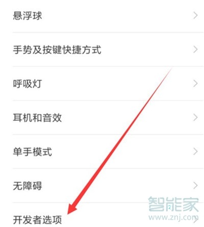 小米cc9e开发者选项在哪