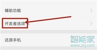 oppor17pro怎么打开开发者选项