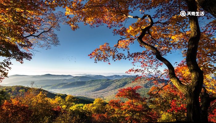 今逢四海为家日,故垒萧萧芦荻秋对应西塞山的是 今逢四海为家日故垒萧萧芦荻秋的意思