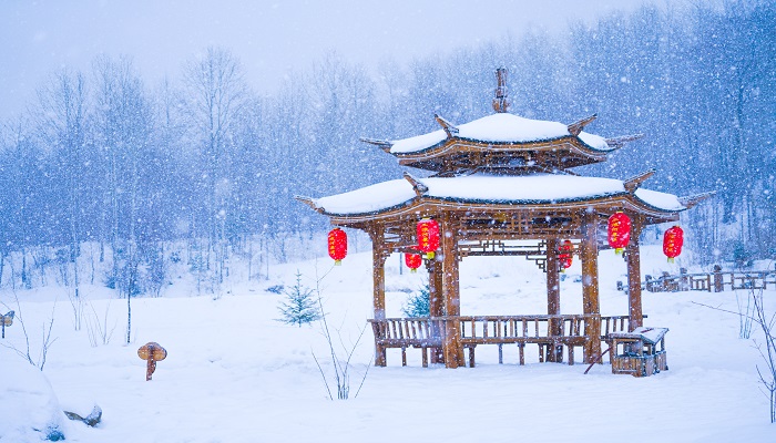 咏雪表达的思想感情 咏雪表达了什么主题