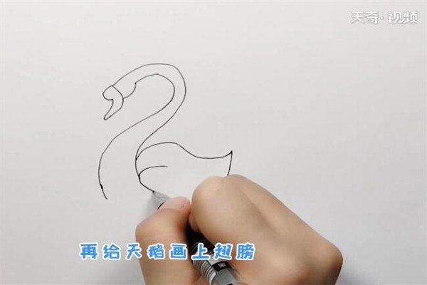 天鹅简笔画