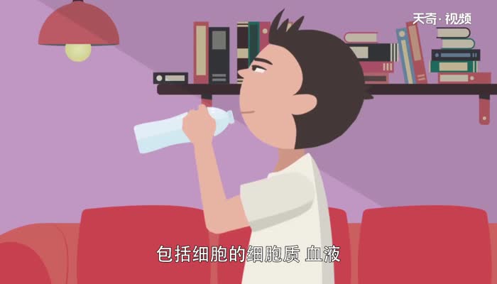 盐的化学性质 盐的四种化学性质