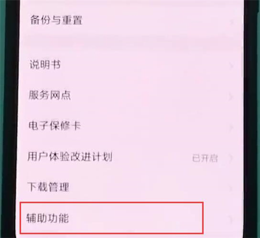 vivonex双屏版怎么打开放大手势