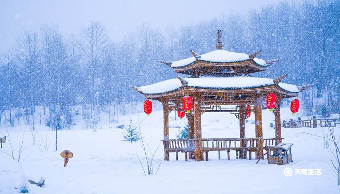 雪夜访戴表达了什么 雪夜访戴表达了什么情感