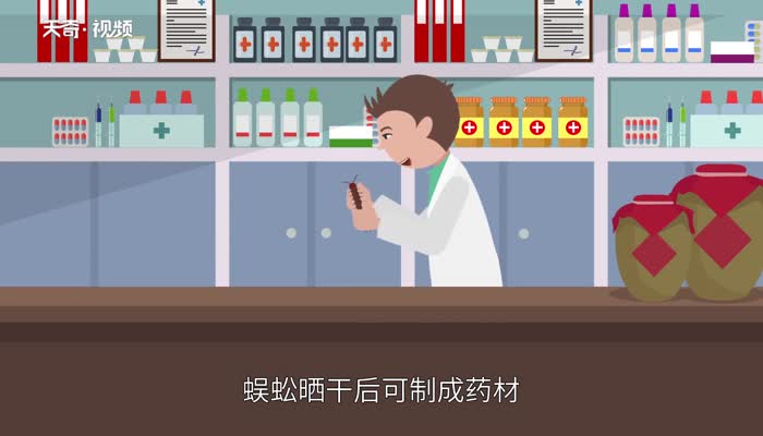 蜈蚣吃什么  蜈蚣吃什么东西