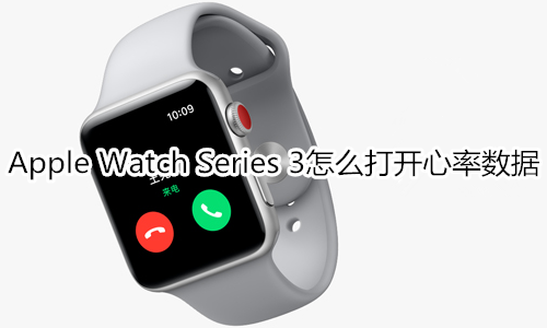 Apple Watch Series 3怎么打开心率数据
