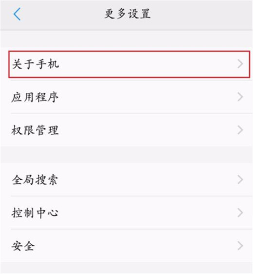 vivoz1青春版开发者选项在哪