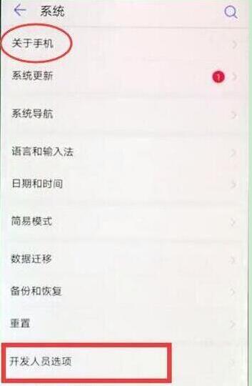 华为nova4怎么打开开发者选项