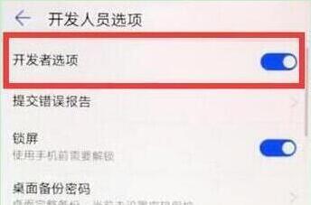荣耀v20怎么打开开发者选项