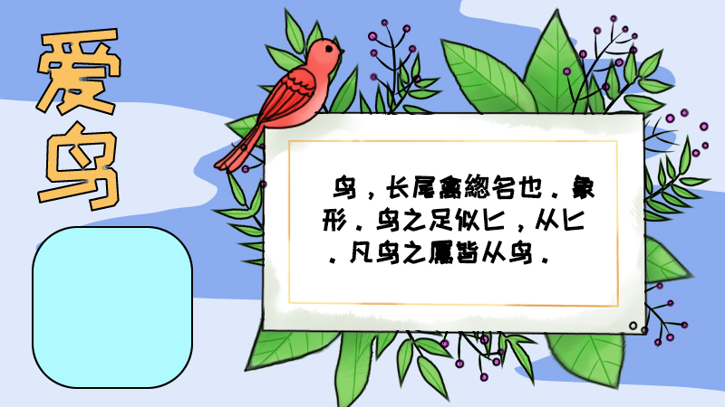 爱鸟手抄报内容,爱鸟手抄报内容画法